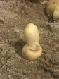 imo222.jpg